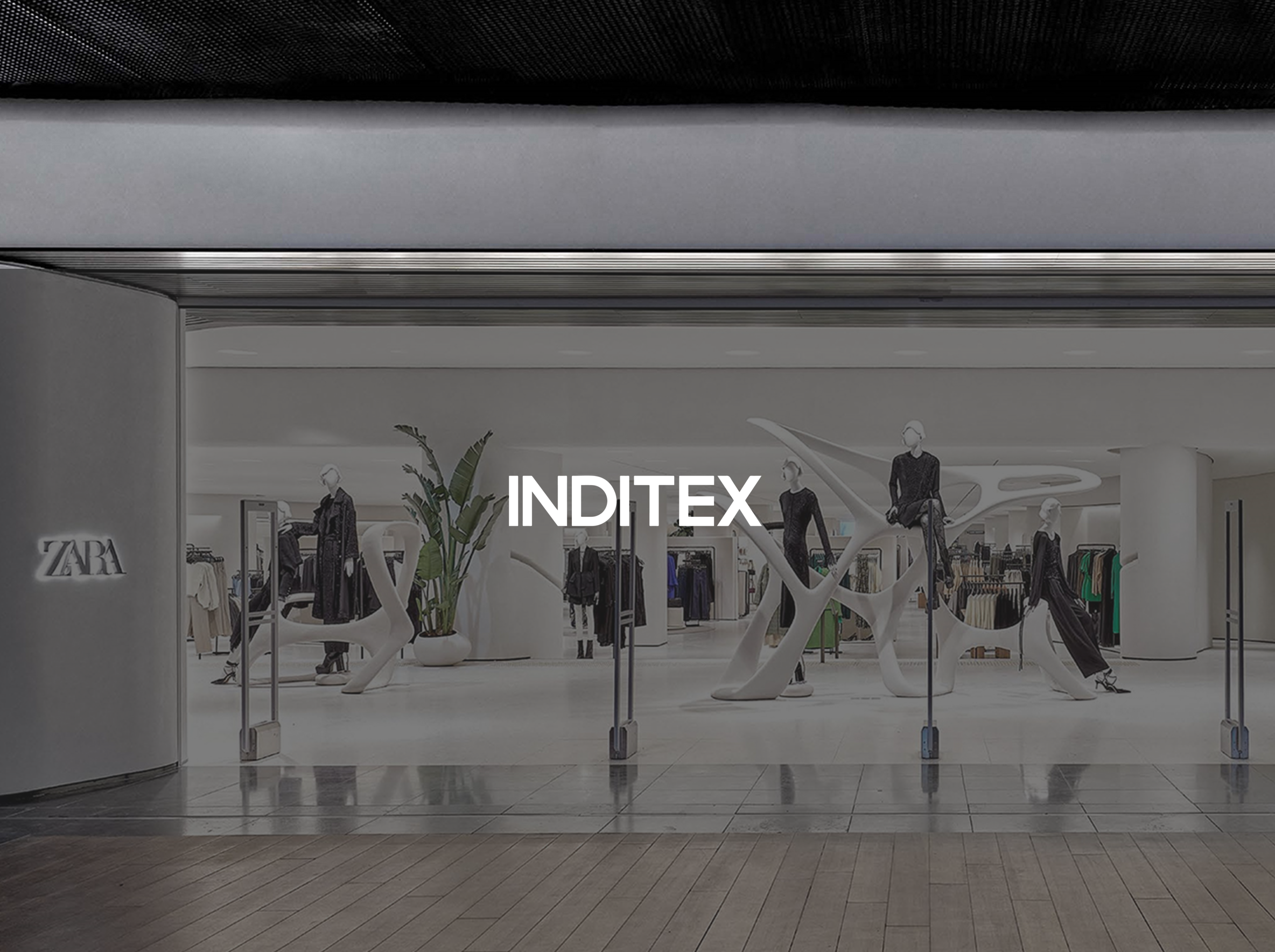 inditex project software development project